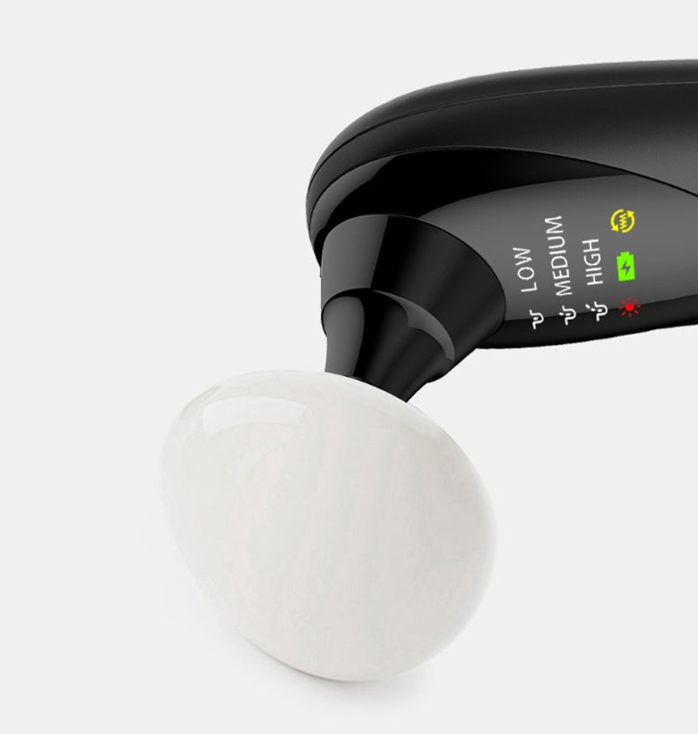 EMS Facial Lifting & Tightening Beauty Device